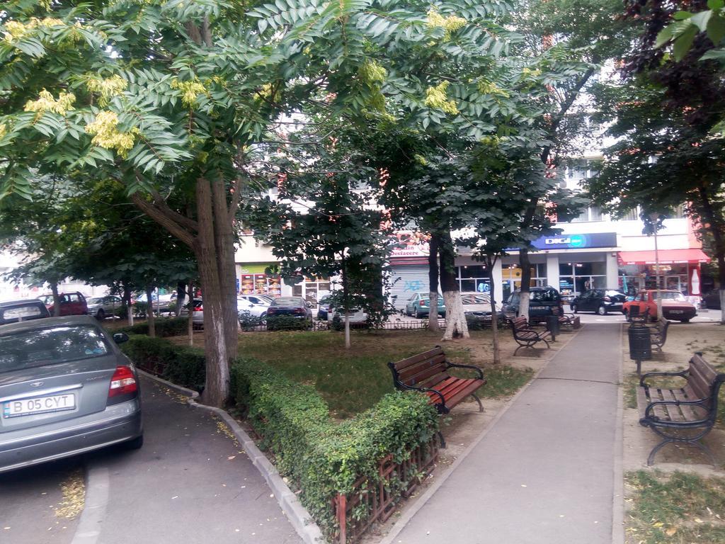 Apartament Dana Bukares Bagian luar foto